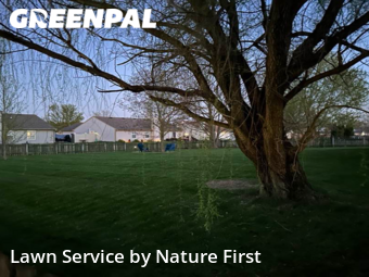 Grass Cutting nearby Noblesville, IN, 