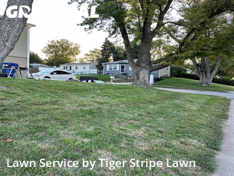 Lawn Mowing nearby La Vista, NE, 