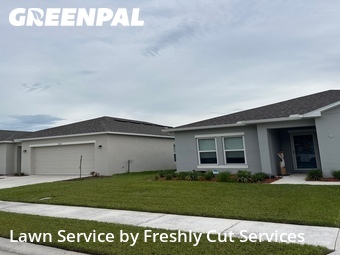 Grass Cut nearby Lakeland, FL, 