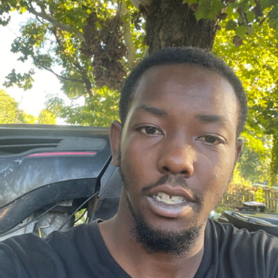 Big Als Lawn Care - Leaf removal service in Freeport, TX