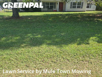 Lawn Care nearby Murfreesboro, TN, 