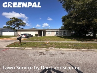 Grass Cut nearby Orlando, FL, 