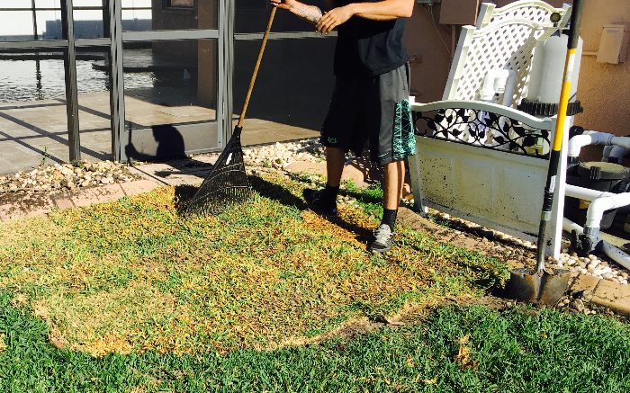 Work Image 4