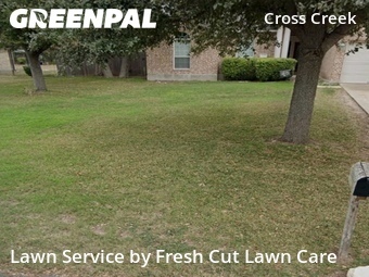 Lawn Cut nearby Cedar Park, TX, 