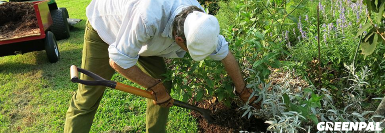 How Old Is Too Old to Start a Landscaping Business?