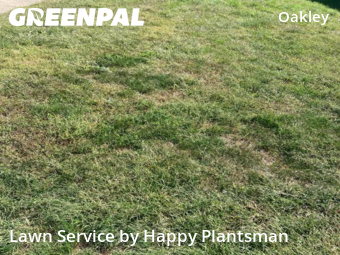 Affordable Landscaping In Cincinnati,45209,Landscaping Maintenance by Happy Plantsman, work completed in Nov , 2025