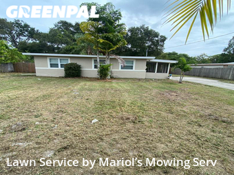 Lawn Cutting nearby Clearwater, FL, 