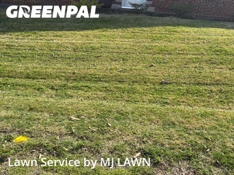 Lawn Mow nearby St. Louis, MO, 