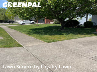 Lawn Mowing nearby Lexington, KY, 