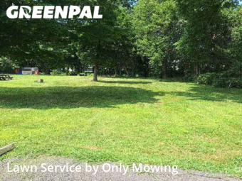 Lawn Mowing Service nearby Delmar, NY, 