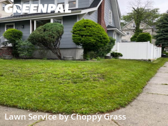 Lawn Cut nearby Ridgefield Park, NJ, 