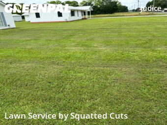 Lawn Care Service nearby Duson, LA, 