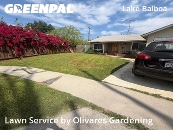 Work completed by residential-lawn-cutting-businesses-in-Los Angeles-CA