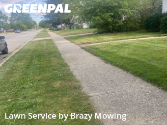 Yard Mowing in Wayne, 48184, Yard Services by Brazy's Mowing Llc, work completed in Nov , 2025