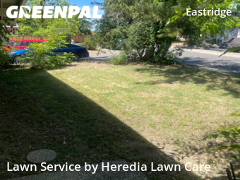 Yard Cutting nearby Citrus Heights, CA, 