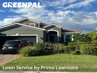 Lawn Management in Sarasota, 34243, Backyard Mowing by Primo Lawncare , work completed in Nov , 2025