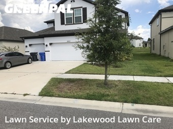 Grass Cut nearby Riverview, FL, 