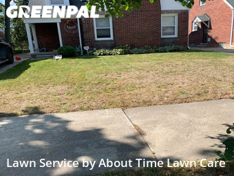 Grass Cut nearby Detroit, MI, 