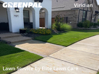 Lawn Cut nearby Euless, TX, 