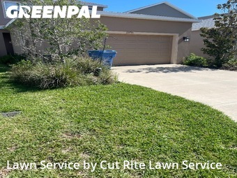 Grass Cut nearby Odessa, FL, 