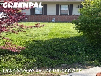 Grass Cutting nearby Ballwin, MO, 