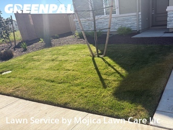 Work completed by professional-lawn-care-service-in-Elk Grove-CA