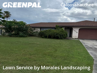Lawn Cut nearby Cape Coral, FL, 
