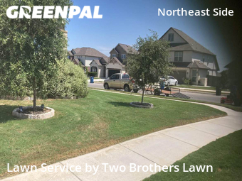 Lawn Maintenance nearby Schertz, TX, 