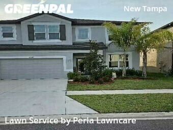 Lawn Mowing nearby Tampa, FL, 