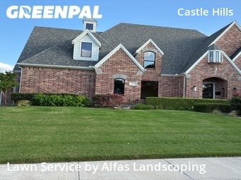 Lawn Care Servicein Lewisville,75056,Lawn Cut by Alfas Landscaping, work completed in Jun , 2026