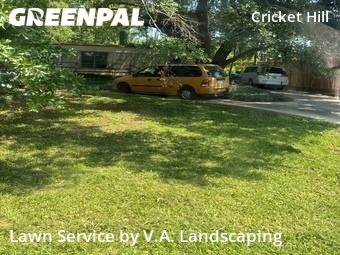 Yard Cutting nearby Spring, TX, 
