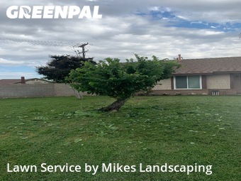 Work completed by lawn-care-experts-near-me-in-Rialto-CA