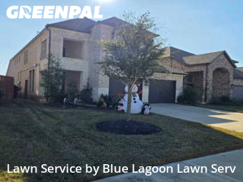 Lawn Mowin Katy,77493,Grass Cutting by Blue Lagoon Lawn Serv, work completed in Dec , 2025