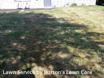 Yard Cutting nearby Youngstown, OH, 