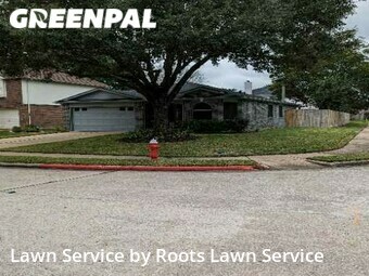 Grass Cut nearby Humble, TX, 