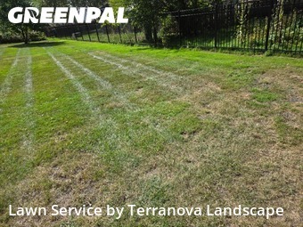 Mowing Services in Downers Grove, 60516, Weekly Mowing by Terranova Landscape, work completed in Nov , 2025