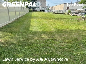Lawn Cutting nearby Trenton, NJ, 