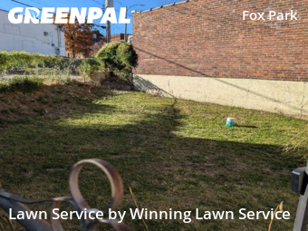 Grass Cut nearby St. Louis, MO, 