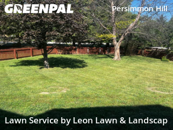 Yard Mowing nearby Olathe, KS, 