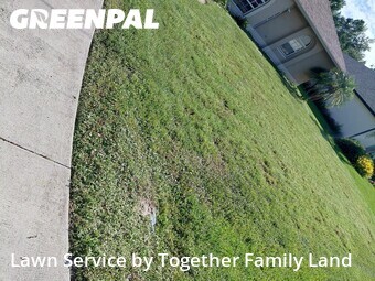 Grass Cut nearby Punta Gorda, FL, 