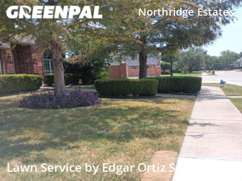 Lawn Cut nearby Plano, TX, 