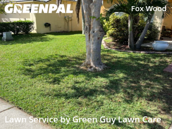 Yard Mowing nearby Trinity, FL, 