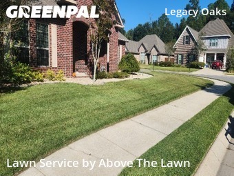 Yard Cutting in Pensacola, 32514, Lawn Work by Above The Lawn, work completed in Nov , 2025