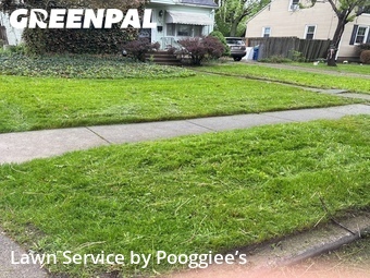 Lawn Care nearby Buffalo, NY, 