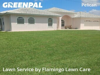 Grass Cut nearby Cape Coral, FL, 