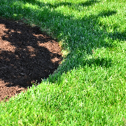 cheap-lawn-cutting-businesses-in-Albuquerque-NM