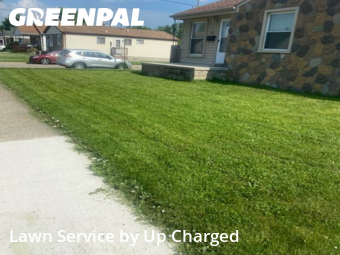 Grass Care in Lincoln Park, 48146, Backyard Mowing by Up Charged , work completed in Dec , 2025