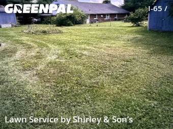 Lawn Mow nearby Indianapolis, IN, 