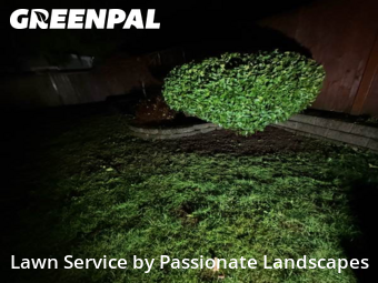 Lawn mowed in Lacey, 98503