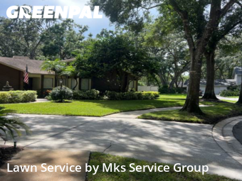 Lawn Cutting nearby Tampa, FL, 